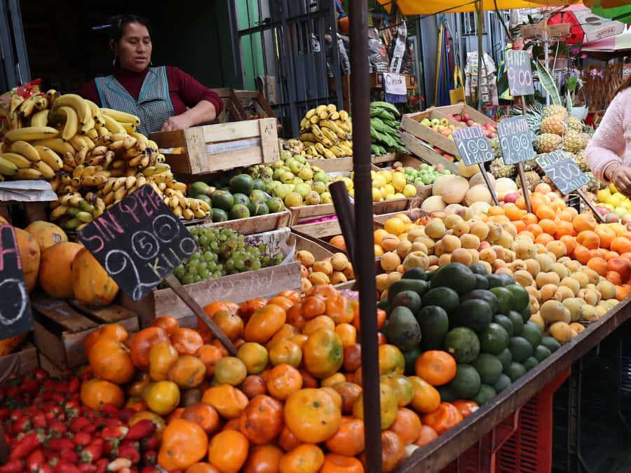 Lima: Villa El Salvador Shanty Town Tour - Key points to know before booking