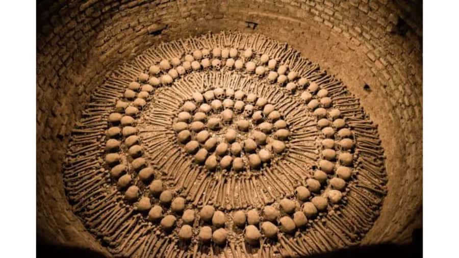 LIMA WALKING TOUR CATACOMBS FROM MIRAFLORES, HISTORICAL CENTER, WINES+BUS - Why this four-hour Lima route works