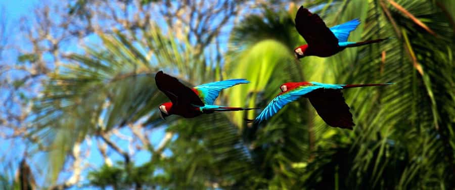 Living Nature from Cusco: 3 Days Manu Jungle all inclusive - What the $390 price covers