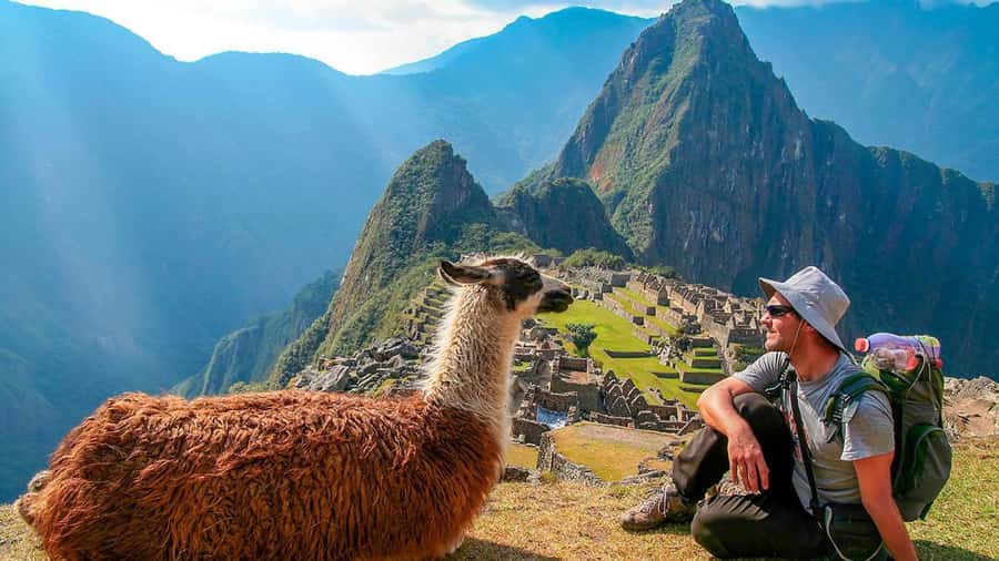 Machu Picchu: 1-day tour by Vistadome Panoramic train - Key points to know before booking