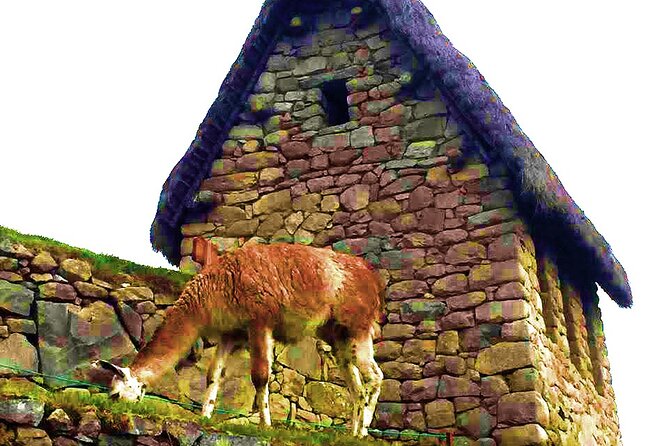 Machu Picchu 1 Day Tour from Cusco by Train - Lunch and the return trip from Aguas Calientes