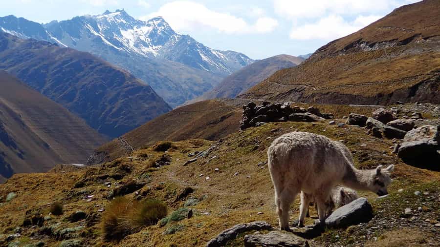 Machu Picchu 2 Days / 1 Night (By Bus) - Why this road route is worth considering