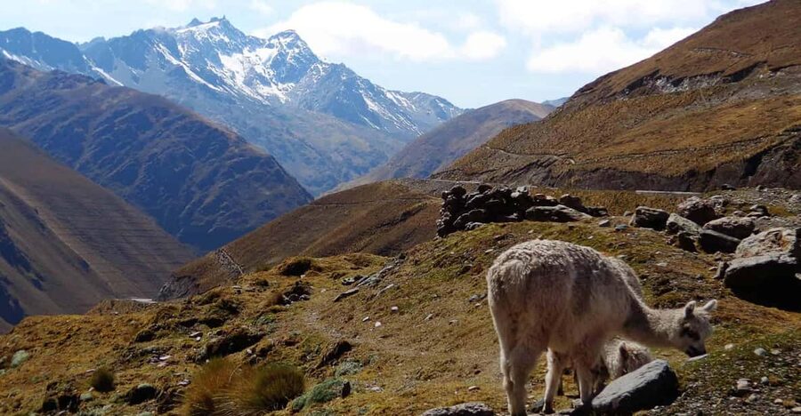 Machu Picchu 2 Days / 1 Night (By Bus) - Two hours inside the Machu Picchu Sanctuary