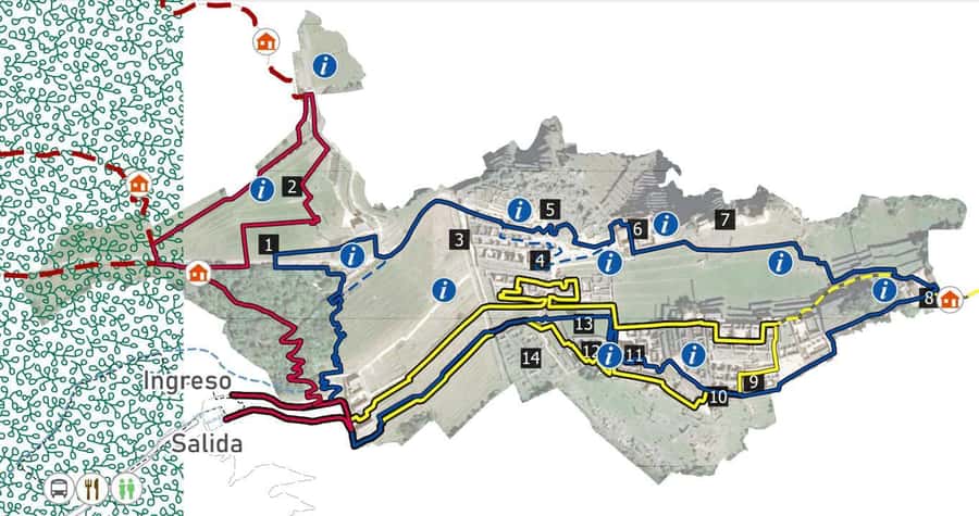 Machu Picchu Entry Ticket and Bus from Aguas Calientes - What the $119 package really gives you
