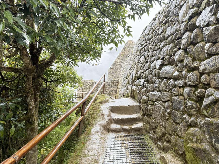 Machu Picchu Entry Ticket and Bus from Aguas Calientes - Two to two and a half hours among the stone terraces