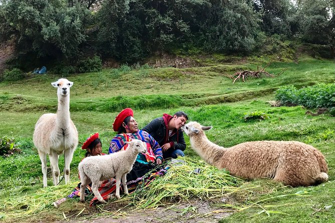 Machu Picchu Full Day from Cusco - Where the organization can fail