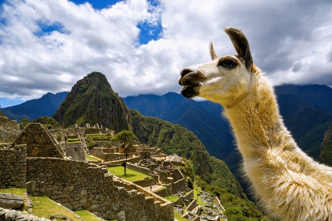 Machu Picchu Full Day with lunch by Aludi Travel - Leaving Cusco for the train journey