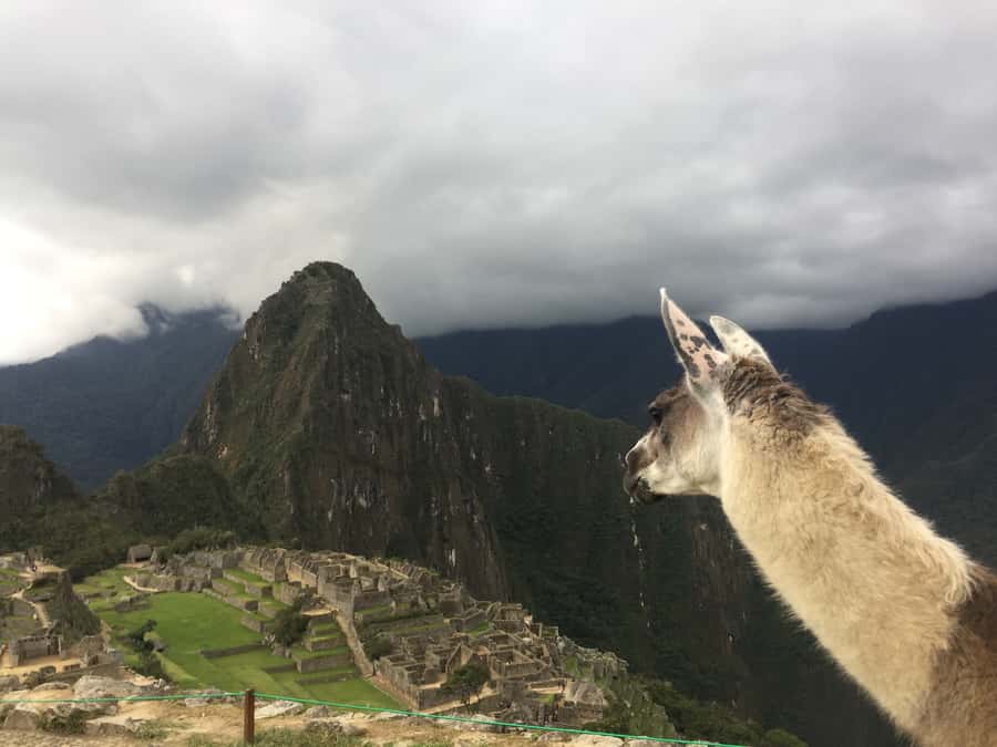 Machu Picchu: Private Tour Guide Service - Photos, crowds, and the value of personal attention