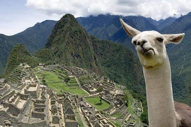 Machu Picchu Small Group Day Tour from Cusco - Aguas Calientes and the mountain bus