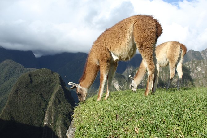 Machu Picchu Tour From Cusco Full Day - What the $425 cost really covers