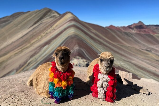 Machupicchu Exclusive Experience - Transport, meals, and what is not covered