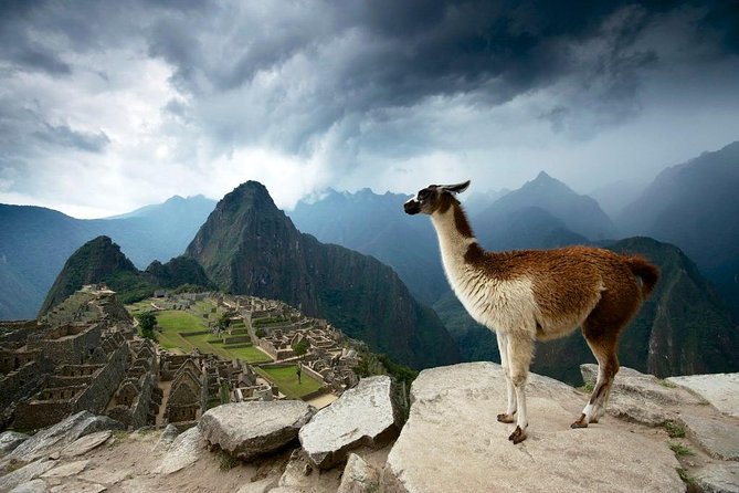 MachuPicchu Private Full Day Tour by Vistadome train from Cusco - The 5:00 AM pickup and Sacred Valley drive