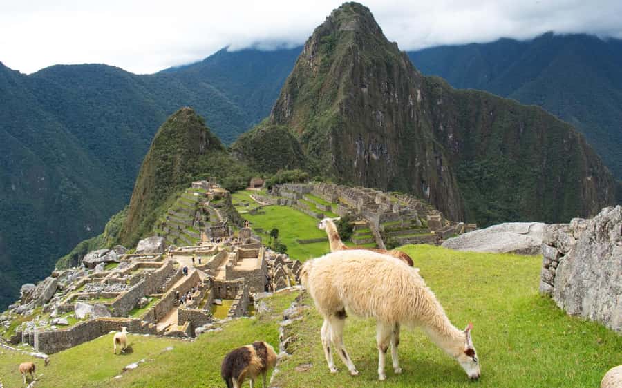 Machupicchu tour by tourist train in 2 days - Returning to Cusco by train and road