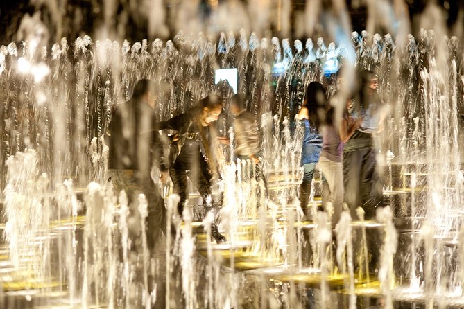 Magic Water Circuit with Dinner - What your 1 hour 20 minutes at the park looks like