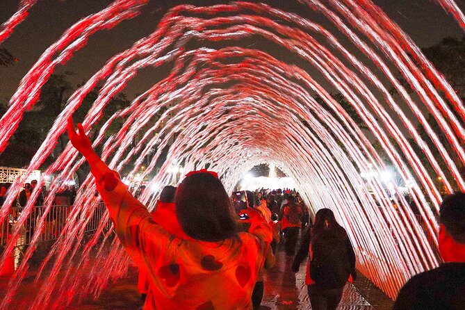Magic Water & Laser Light Show Including Pickup And Drop-Off - Why the crowd warning matters