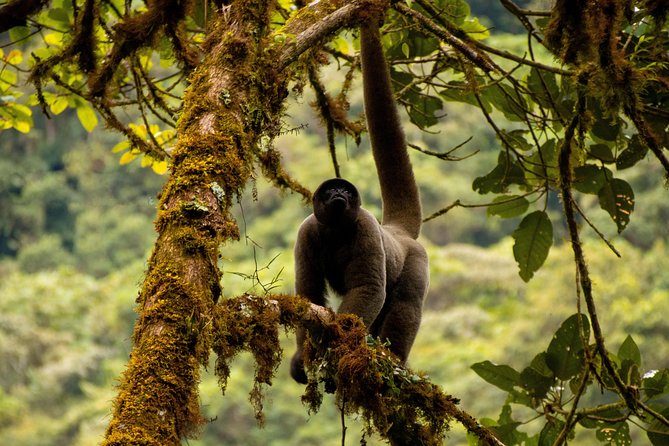 Manu National Park Tour 4days/3night - What to pack for four days in Manu