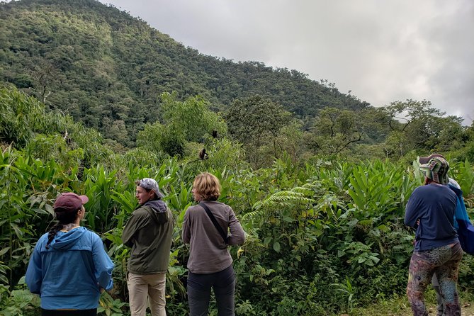 Manu National Park Tour 4days/3night - Who should book this Manu tour?