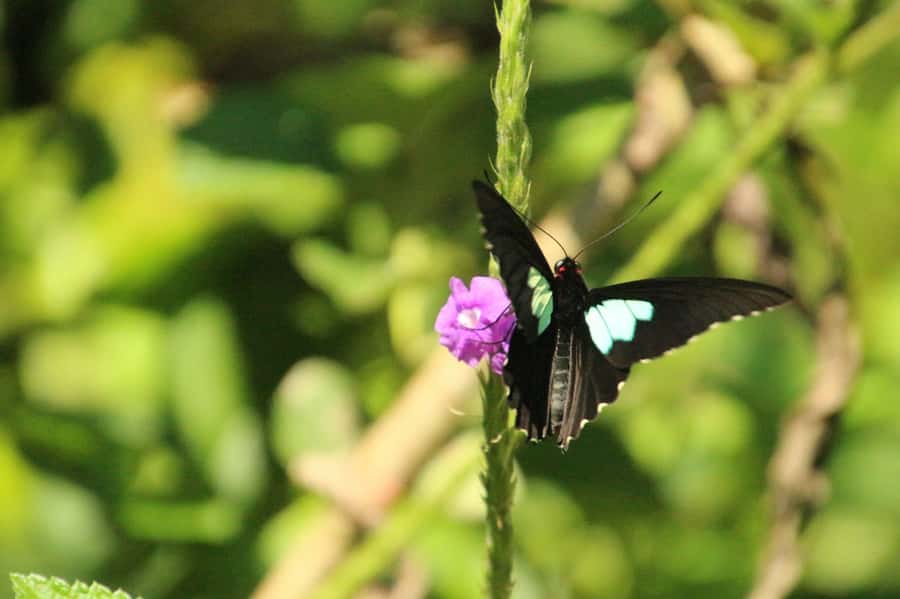 Manu National Park Tours from Cusco 5 Days - Lodges, food, boots, and basic comfort