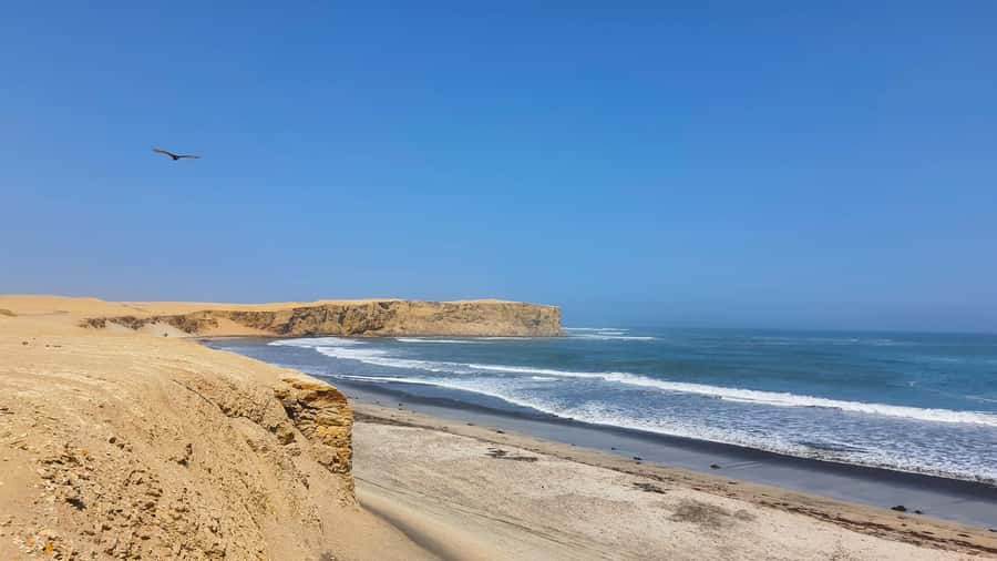 Mini Buggy GO KART in Paracas National Reserve - Pickup details that can affect your morning