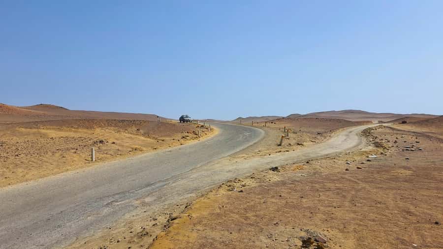 Mini Buggy GO KART in Paracas National Reserve - Who can drive, and who should skip it?