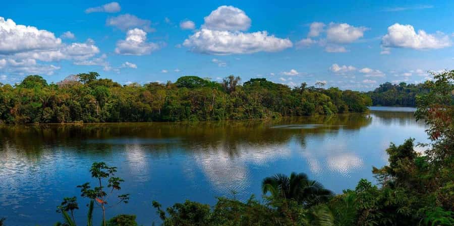 Monkey Island + Lake Sandoval 2D/1N - Key points at a glance
