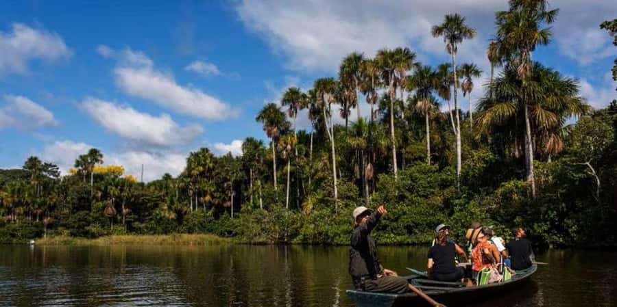 Monkey Island + Lake Sandoval 2D/1N - Afternoon rest and the return to Puerto Maldonado