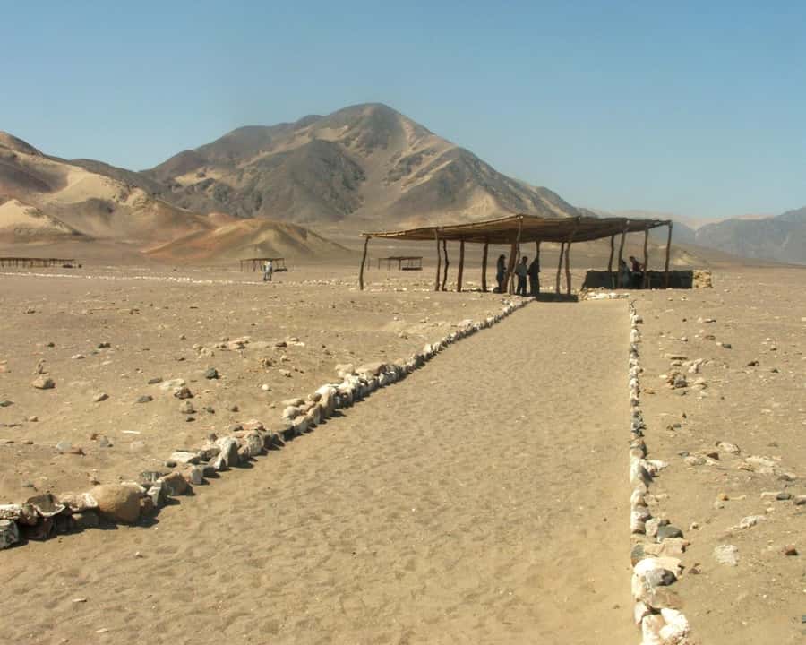 Nazca: Chauchilla Cemetery Archaeological Tour - Walking among the ancient tombs
