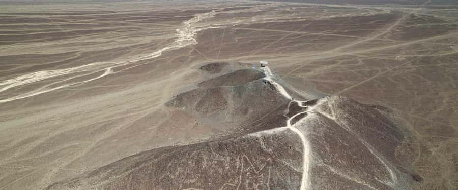 Nazca: Light aircraft flight over the Nazca Lines - Should you book this experience?