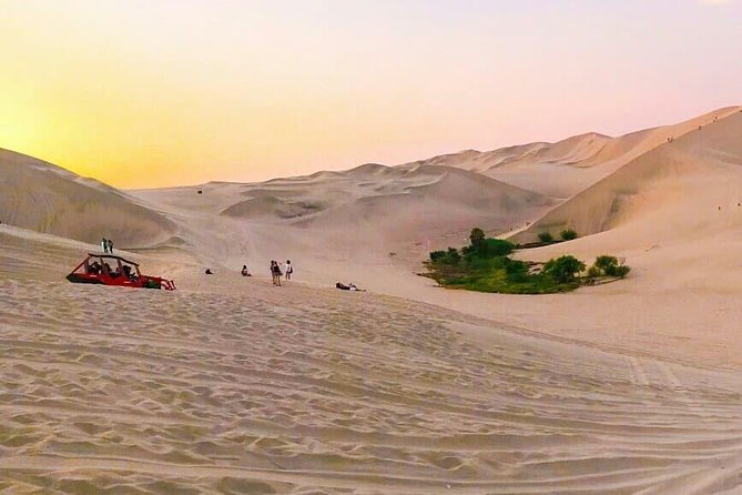 Nazca Lines and Dune Buggy (Huacachina) from Ica - The long return to Ica