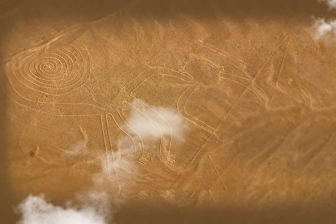 Nazca Lines and Dune Buggy (Huacachina) from Ica - Seeing the Nazca Lines from Nasca Airport
