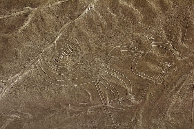 Nazca Lines & Ballestas Islands Private Tour Bus&Flight from Lima - What you actually see from the air