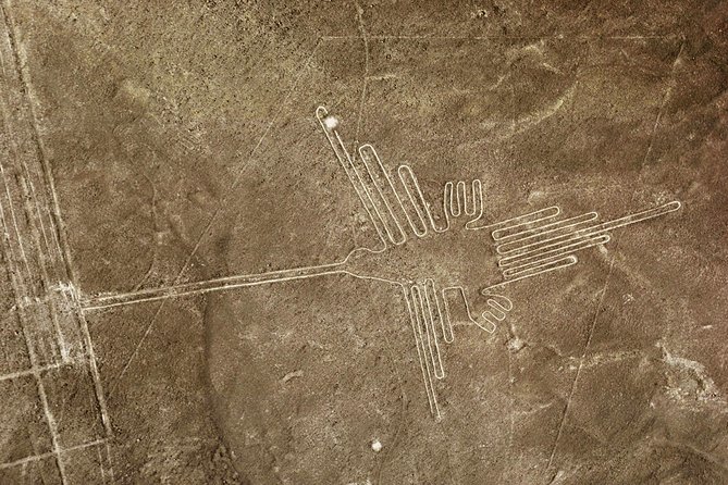 Nazca Lines & Ballestas Islands Private Tour Bus&Flight from Lima - Lunch and the long return to Lima
