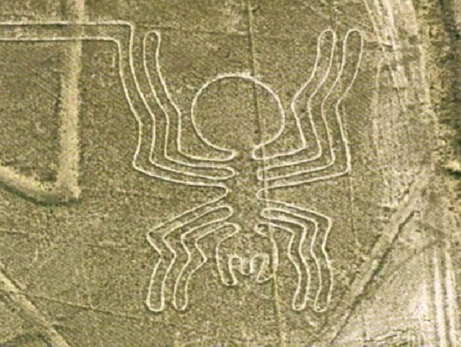 Nazca: Maria Reiche Museum and Nazca Lines Viewpoint Tour - The Nazca Lines viewpoint and its four visible figures