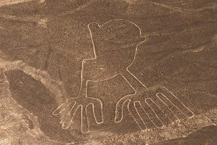 Nazca: Overflight of the Nazca Lines - Practical tips for a smoother overflight
