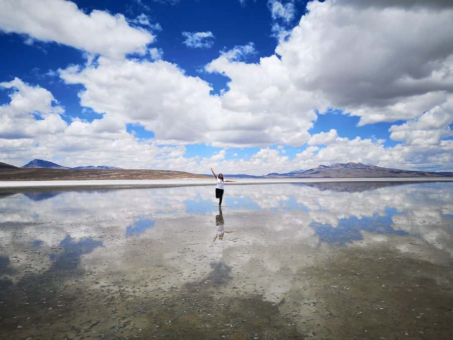 Offer Price Tour Salinas Lagoon and National Reserve 8 hours - Chiguata and the volcano viewpoint at 9:00 am