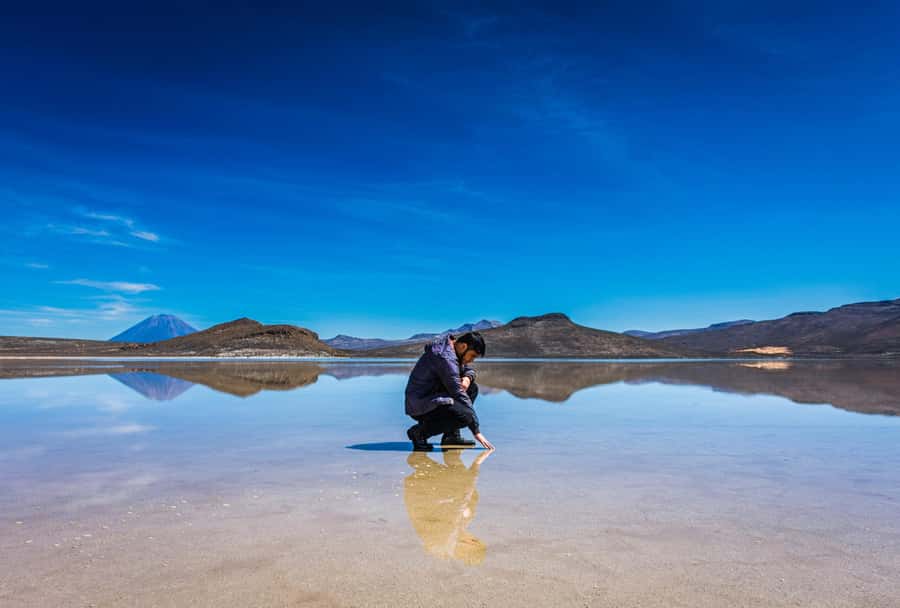 Offer Price Tour Salinas Lagoon and National Reserve 8 hours - Camelids and high Andean birds at 11:00 am