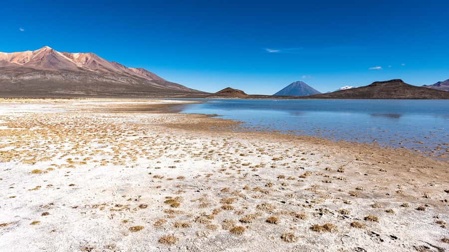 Offer Price Tour Salinas Lagoon and National Reserve 8 hours - Optional mini thermal wells around 11:30 am