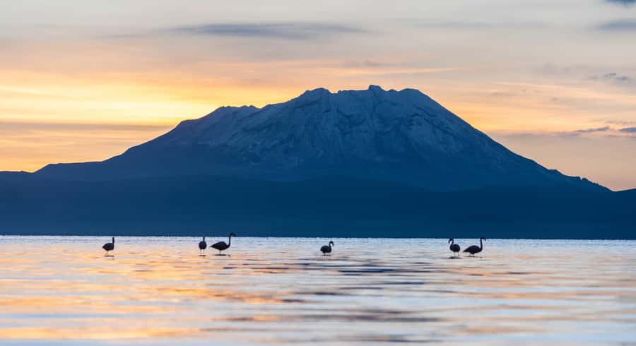 Offer Price Tour Salinas Lagoon and National Reserve 8 hours - The return to Arequipa by 1:30 pm