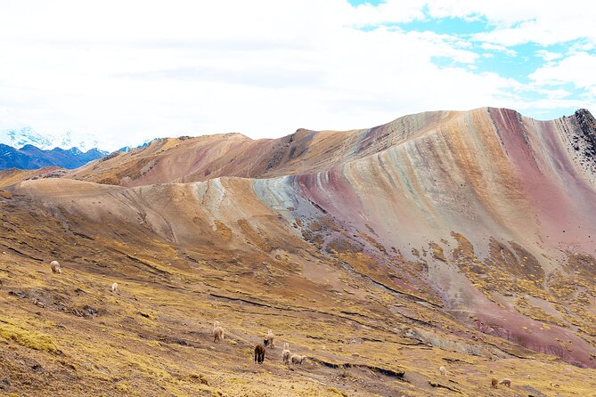 Palccoyo Rainbow Mountain Full Day Tour from Cusco - Three striped mountains and the Stone Forest