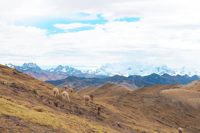 Palccoyo Rainbow Mountain Full Day Tour from Cusco - Ausangate from the road