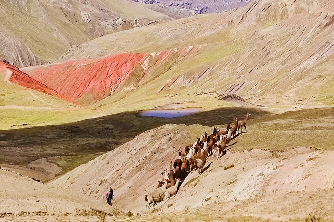 Palccoyo Rainbow Mountains Full Day Tour from Cusco - Snow is the key condition to watch
