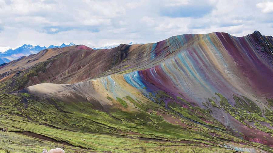 Palcoyo colored mountain hike + stone forests - A Two-Hour Walk to the Colored Mountains