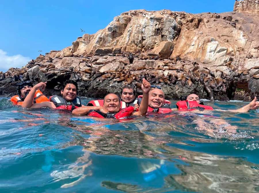 Palomino Islands Yacht Tour and swim alongside the sea lions - Why the Palomino Islands trip is different