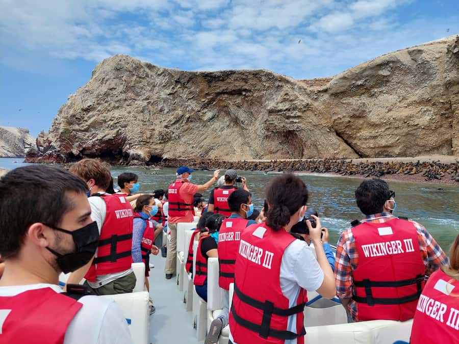 Paracas: Ballestas Island & Nature Reserve all inclusive - Who should book this half-day outing