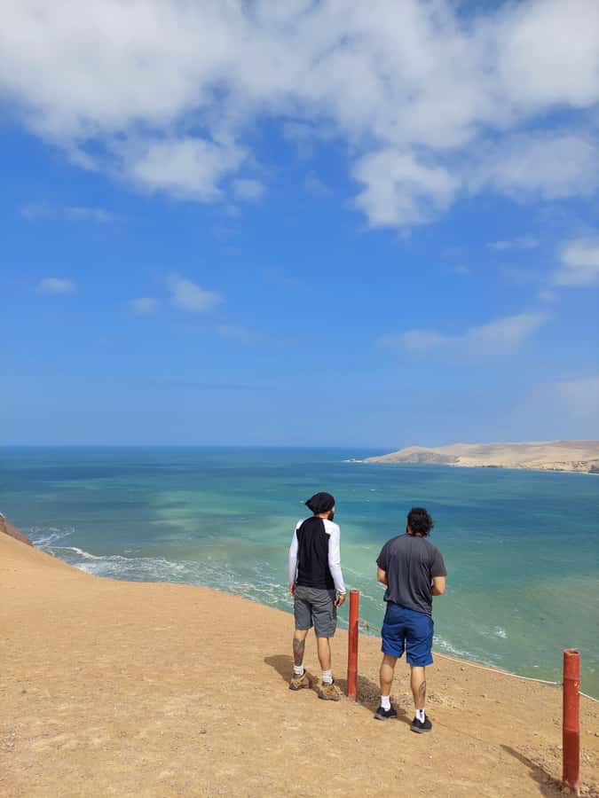 Paracas: Ballestas Island & Nature Reserve all inclusive - Hotel pickup and the first trip toward the port