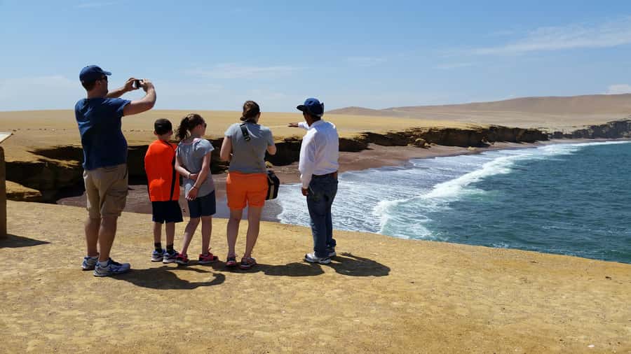 Paracas: Ballestas Island & Nature Reserve all inclusive - Ballestas Islands by shared speedboat