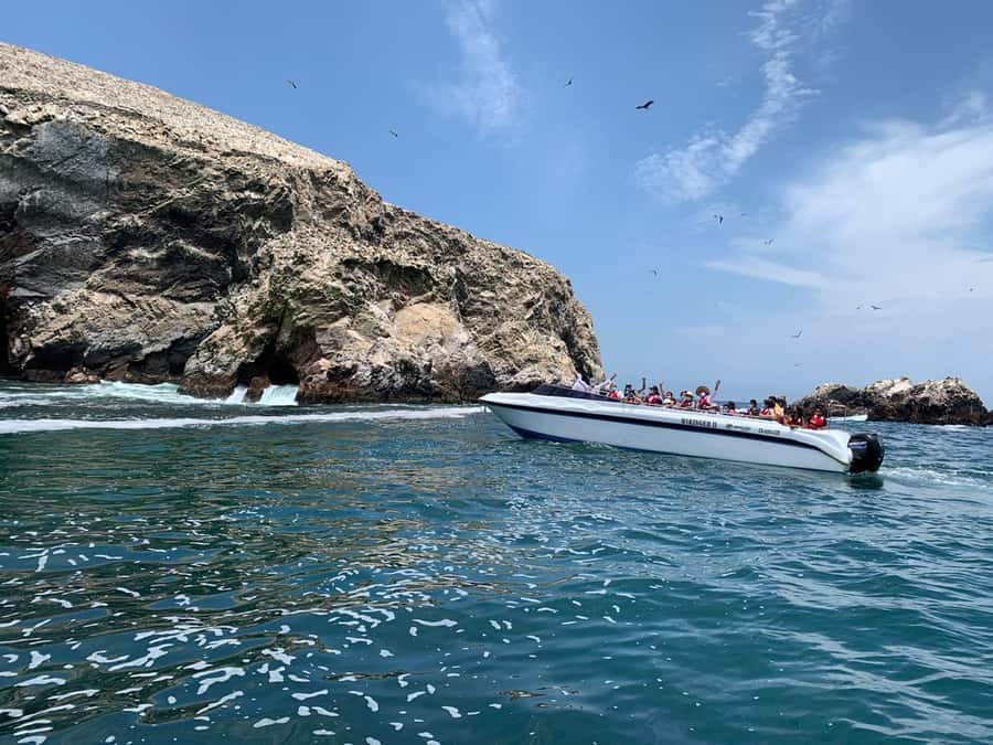 Paracas: Ballestas Island & Nature Reserve all inclusive - Entering Paracas National Reserve by private vehicle