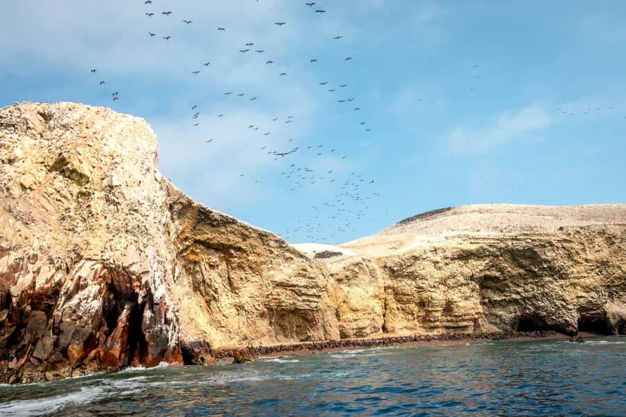 Paracas: Ballestas Island & Nature Reserve all inclusive - Catedral and Istmo viewpoints