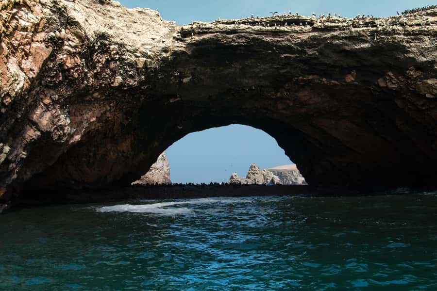 Paracas: Ballestas Island & Nature Reserve all inclusive - What the $60 price covers
