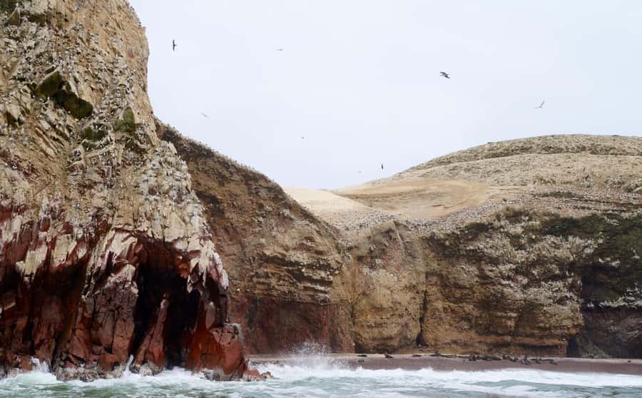 Paracas: Ballestas Islands and Candelabra of Paracas Boat - Key points to know before you book